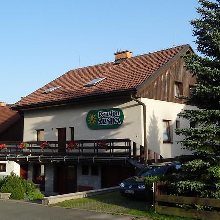 Pension Arnika Дештне-в-Орлицьких-Горах Екстер'єр фото