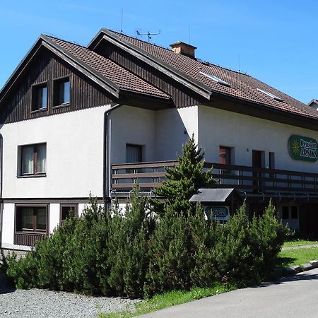 Pension Arnika Дештне-в-Орлицьких-Горах Екстер'єр фото
