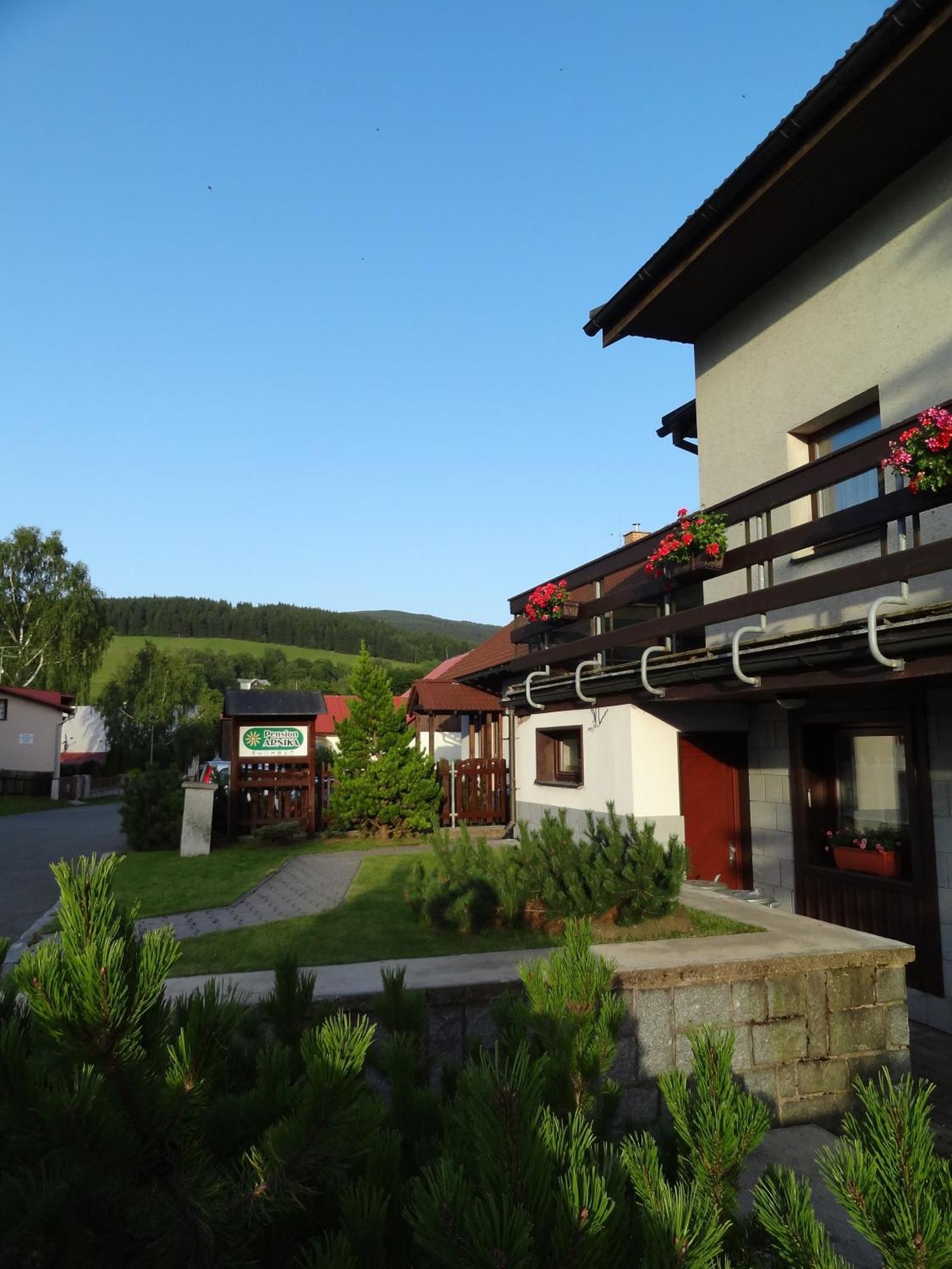 Pension Arnika Дештне-в-Орлицьких-Горах Екстер'єр фото