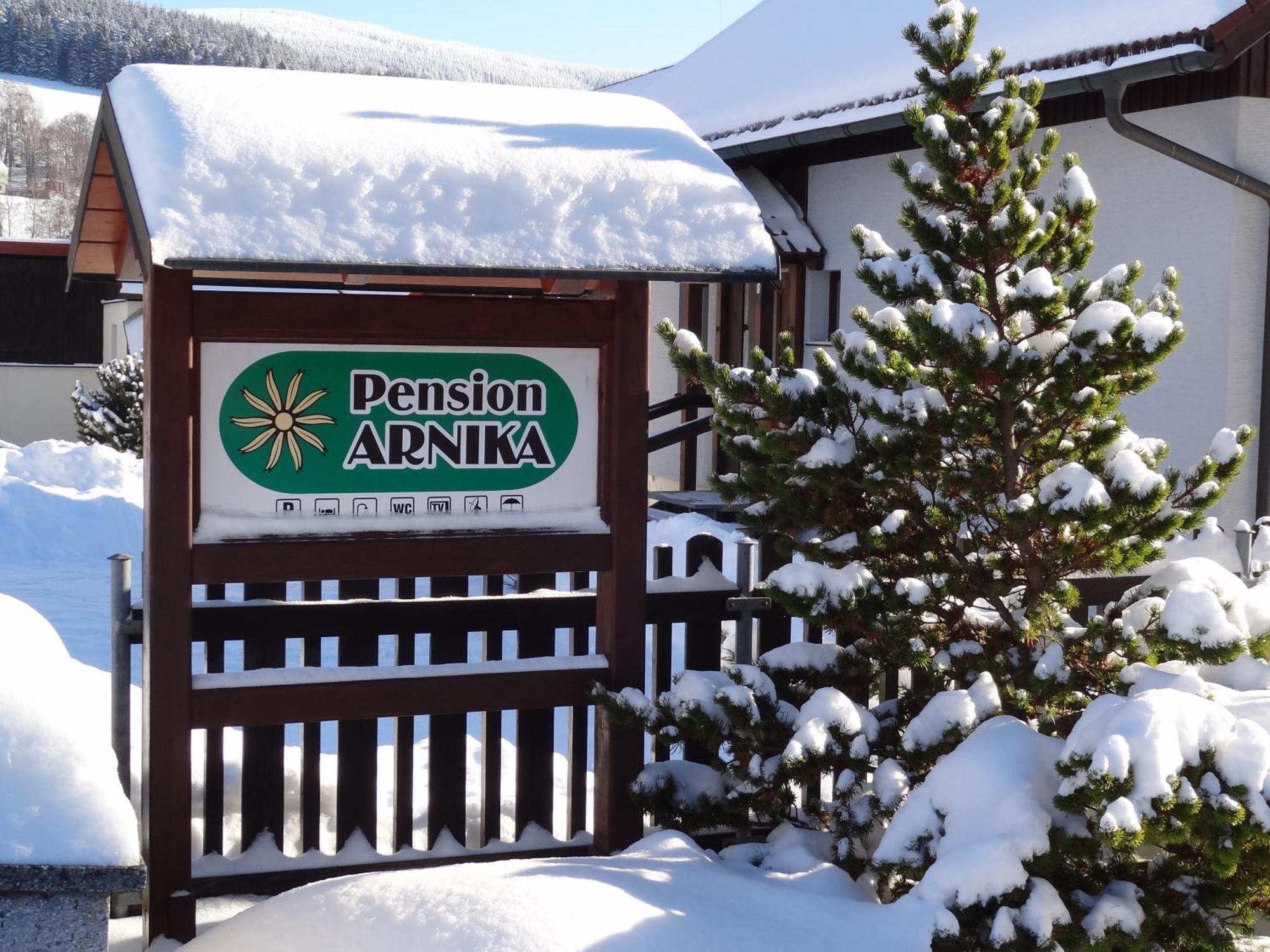 Pension Arnika Дештне-в-Орлицьких-Горах Екстер'єр фото