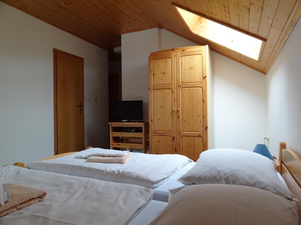 Pension Arnika Дештне-в-Орлицьких-Горах Екстер'єр фото