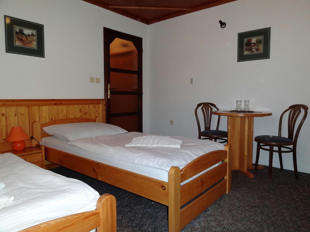Pension Arnika Дештне-в-Орлицьких-Горах Екстер'єр фото