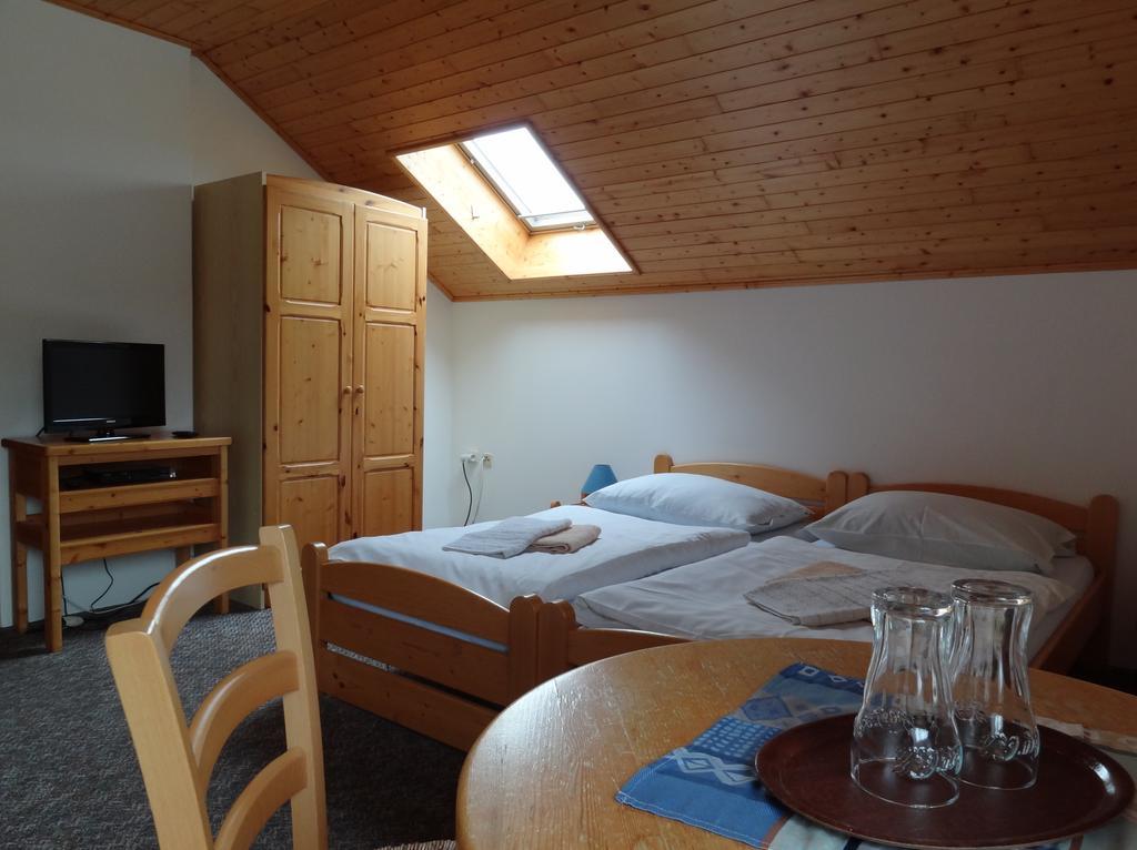 Pension Arnika Дештне-в-Орлицьких-Горах Екстер'єр фото